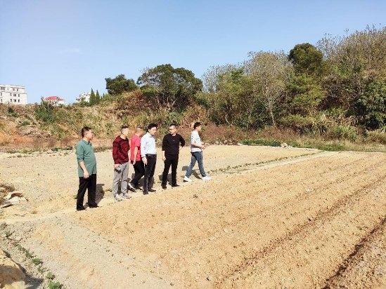莆田北岸结壮推动准许种植整改 筑牢耕地守卫本原(图1)