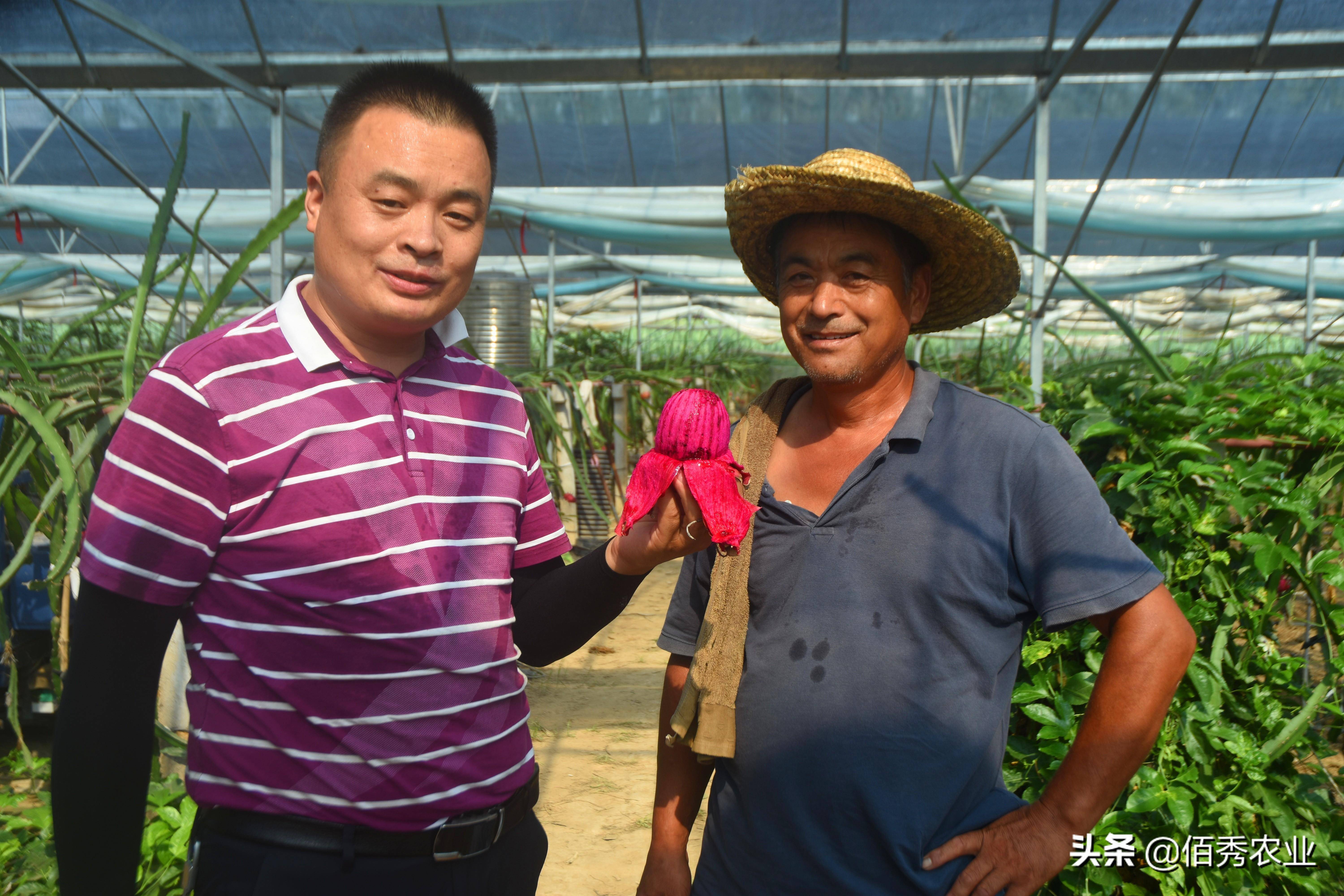 熊猫体育app：春节邻近农夫入手下手闭切节后种植9个“种植宝典”助你解惑(图1)
