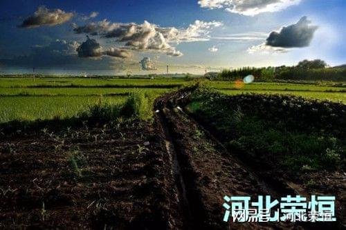 绿色种植基本正在哪里(图2)