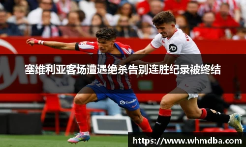 易倍emc体育官网