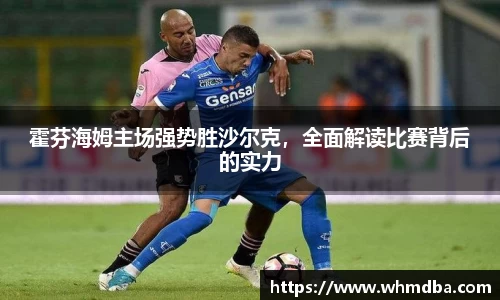 霍芬海姆主场强势胜沙尔克，全面解读比赛背后的实力