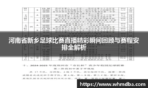 河南省新乡足球比赛直播精彩瞬间回顾与赛程安排全解析