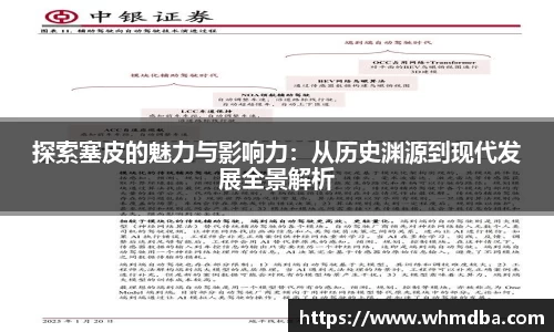 探索塞皮的魅力与影响力：从历史渊源到现代发展全景解析