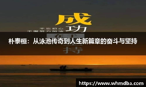 易倍emc体育平台
