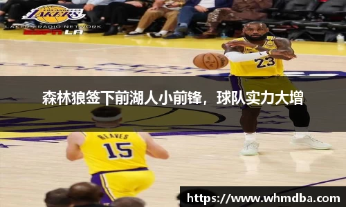 森林狼签下前湖人小前锋，球队实力大增